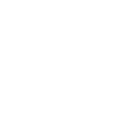Fundación Líderes de Ansenuza